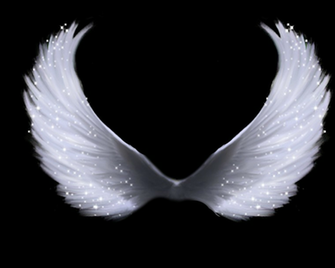Angel Wings Png Wing By Moonglowlilly
