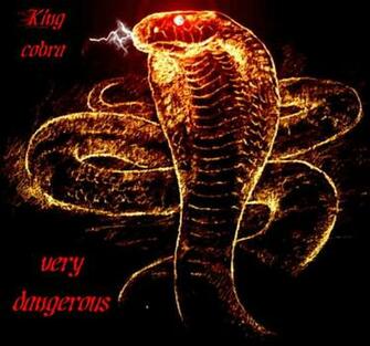 Kingcobra Jpg Phone Wallpaper By Cali10ve