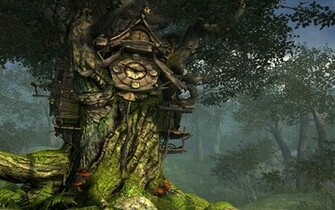 Forest Computer Wallpaper Desktop Background Id