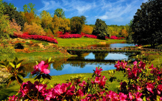 Spring Desktop Wallpaper