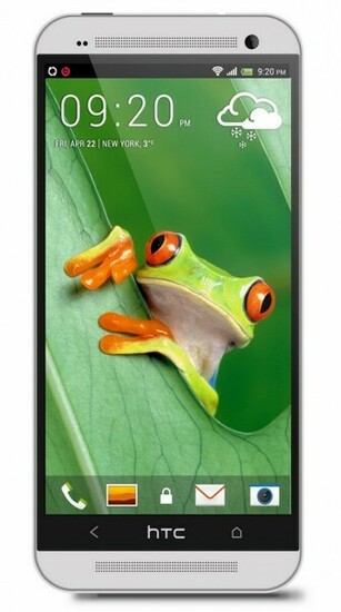 Funny Frog Htc One Wallpaper Best And Easy
