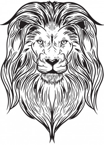 A Proud And Majestic Lion Head Wallpaper