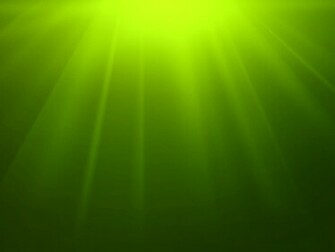 Green Wallpaper
