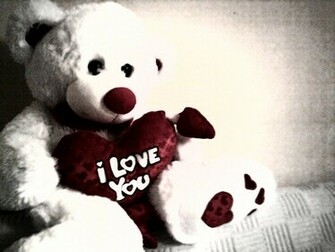Love You Teddy Bear Wallpaper HD Quotes