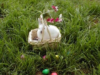Pin Santabanta Wallpaper Nature