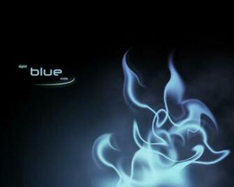 My Toroool Digital HD Wallpaper