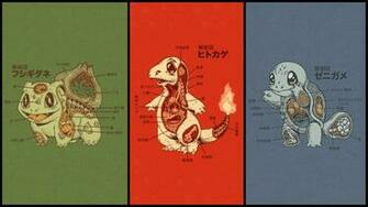 Anatomy Of Pokemon Wallpaper HD