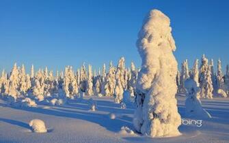 Bing Wallpaper And Screensaver Pack Winter Baixaki