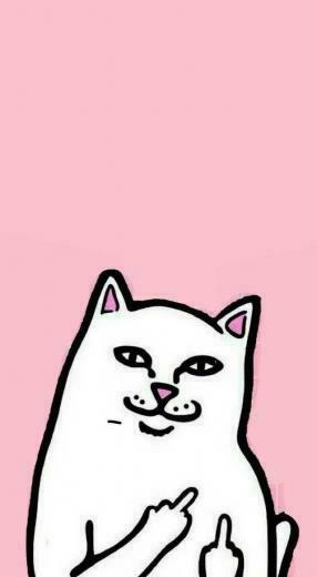 Vvv On H Ey In Ripndip Wallpaper Cute