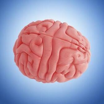 Brain Fitness Games A Look At Lumosity Posit Science Cognifit