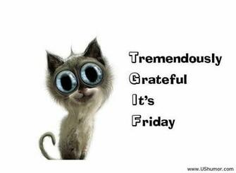 Funny Friday Quotes Cool HD Wallpaper Hivewallpaper