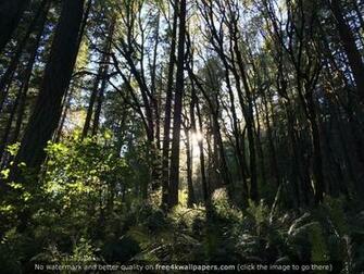 Inside The City Limits Ridgeline Trail Eugene Oregon HD Wallpaper
