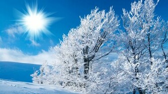 Winter Desktop Background Wallpaper For