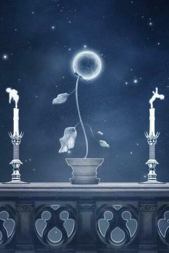 Moon And Flower Or Moonflower Art Wallpaper Night