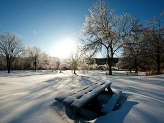 Winter Nature Snow Scene Jpg
