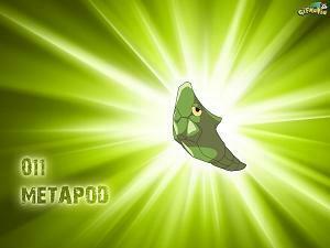 Metapod Wallpaper