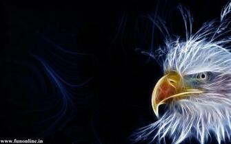 American Eagle HD Wallpaper Gebyur