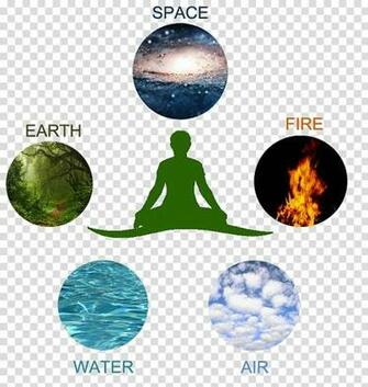 Naturopathy Ayurveda Therapy Dosha Medicine Property Element
