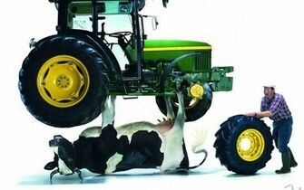 Jack Tractors Wallpaper Cows John Deere