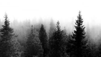 Indie Photography Boho Background For