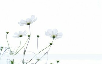 Simple Desktop Background Background