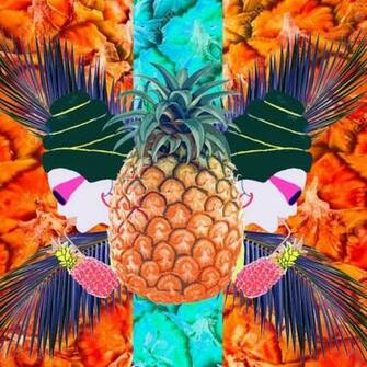 Background Pineapple Wallpaper Image