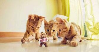 Whatsapp Wallpaper Cute Best HD