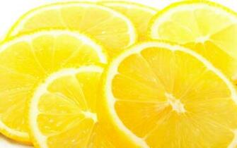Wallpaper Lemon Fruit Citrus Slice Desktop