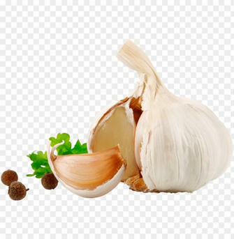 Garlic Png Image Background Toppng