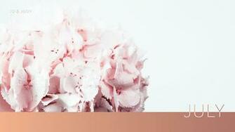 Wallpaper Discover New Designs Every Month Jo Judy