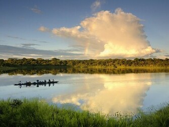 Nature Yasuni National Park Ecuador Picture Nr