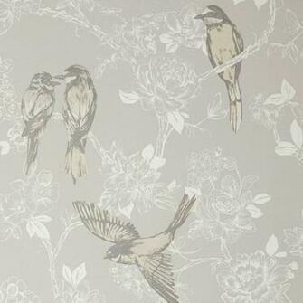 Songbird Wallpaper Chalk Prestigious