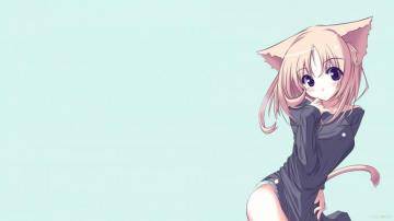 Cat Anime Computer Wallpaper On