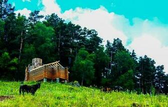Horses House Log Cabin Grass Nature Wallpaper Photos Pictures