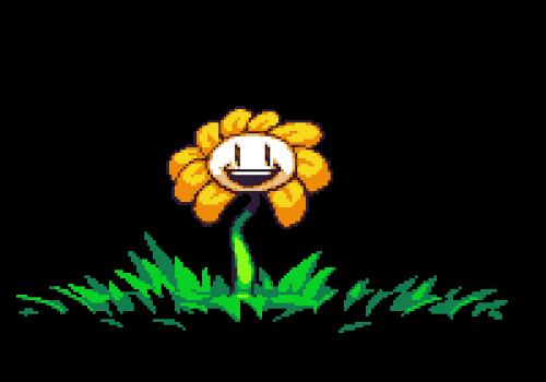 Flowey Undertale Know Your Meme