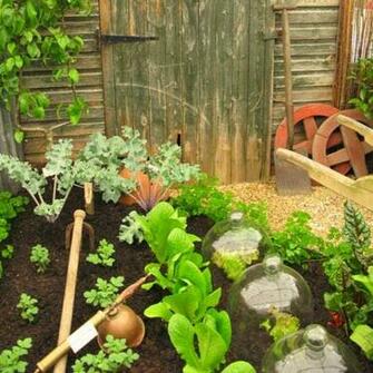 Vegetable Garden Wallpaper Gallery