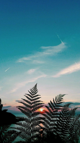 iPhone Lock Screen Wallpaper On