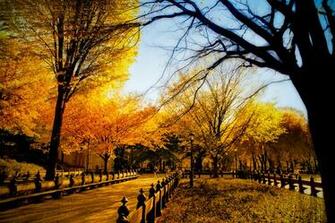 Central Park In Fall Blurbomat