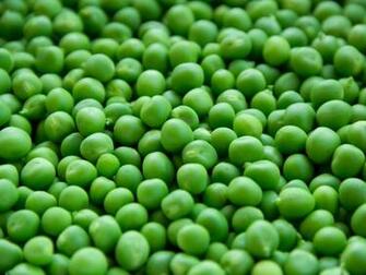 Fresh Peas Wallpaper iPhone Android Desktop Background