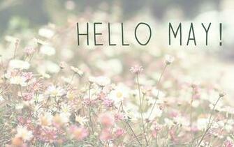 Hello May Wallpaper HD Image And Pictures Happy Holidays