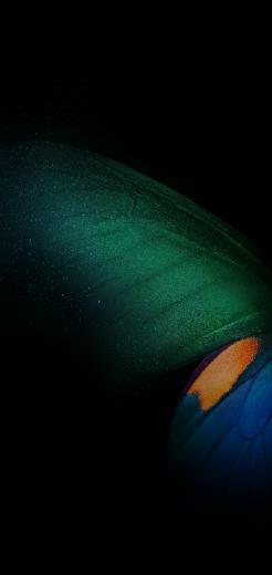 Butterfly Digital Art Shadow Samsung Galaxy