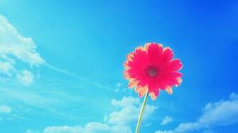 Summer Desktop Wallpaper High Definition Quality
