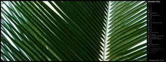 Mlewallpaper Overlapping Palm Fronds Calendar