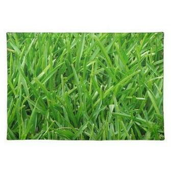 Green Grass Wallpaper Design Place Mats