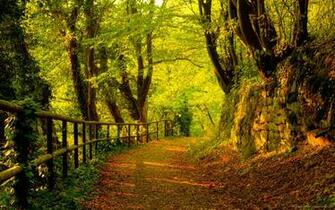 English Countryside Wallpaper