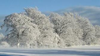 White Landscape Nature Winter Snow HD Wallpaper 4k