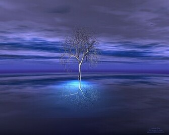 The Joshua Tree Desktop Pc And Mac Wallpaper