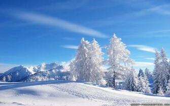 Winter Landscape Wallpaper Crazy Frankenstein