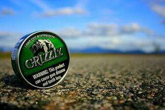 Grizzly Wintergreen Wallpaper Picture Pictures