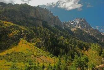 Wallpaper Cascade Canyon Jenny Lake Wyoming Usa Desktop